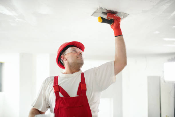 Professional Mold Removal in Broadmoor, CA