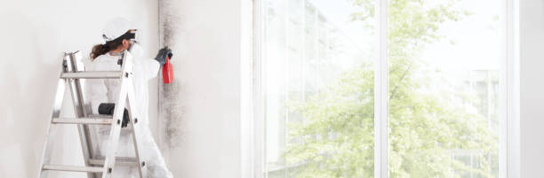 Best Mold Remediation for Healthcare Facilities  in Broadmoor, CA